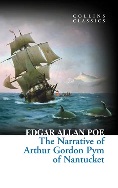 Edgar Poe The Narrative of Arthur Gordon Pym of Nantucket обложка книги
