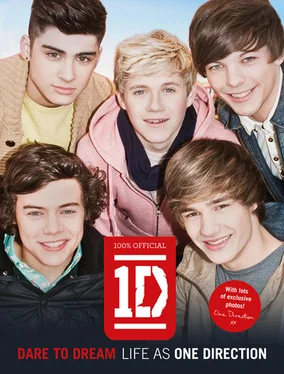 One Direction Dare to Dream: Life as One Direction обложка книги