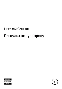 Николай Соляник Прогулка по ту сторону обложка книги