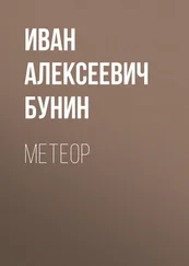 Иван Бунин - Метеор