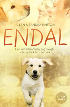 Sandra Parton Endal: How one extraordinary dog brought a family back from the brink обложка книги