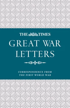 James Owen The Times Great War Letters: Correspondence during the First World War обложка книги