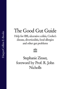Stephanie Zinser The Good Gut Guide: Help for IBS, Ulcerative Colitis, Crohn's Disease, Diverticulitis, Food Allergies and Other Gut Problems обложка книги