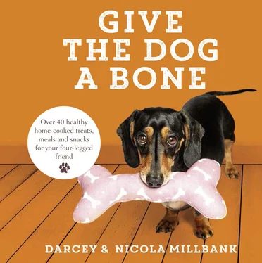 Nicola Millbank Give the Dog a Bone: Over 40 healthy home-cooked treats, meals and snacks for your four-legged friend обложка книги