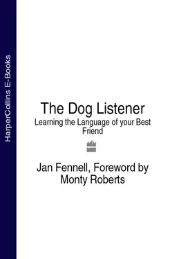 Monty Roberts The Dog Listener: Learning the Language of your Best Friend обложка книги