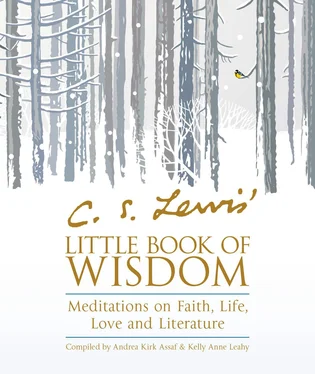 Andrea Assaf C.S. Lewis’ Little Book of Wisdom: Meditations on Faith, Life, Love and Literature обложка книги