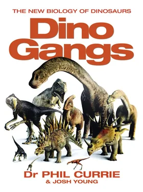 Josh Young Dino Gangs: Dr Philip J Currie’s New Science of Dinosaurs обложка книги