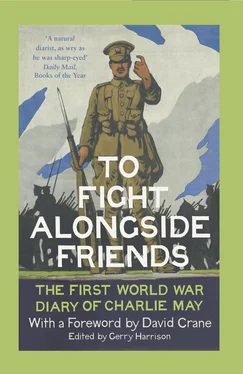 David Crane To Fight Alongside Friends: The First World War Diaries of Charlie May обложка книги