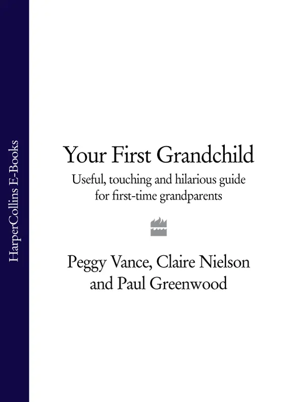 Your First Grandchild Useful touching and hilarious guide for firsttime grandparents - изображение 1