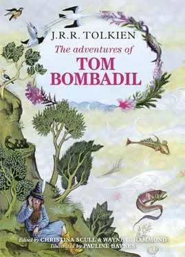 Christina Scull The Adventures of Tom Bombadil обложка книги