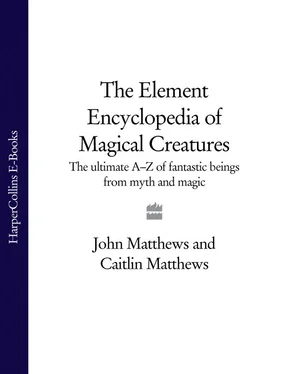 John Matthews The Element Encyclopedia of Magical Creatures: The Ultimate A–Z of Fantastic Beings from Myth and Magic обложка книги