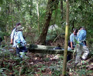 Safety training exercises during the Serious Amazon expedition IN AN EMERGENCY - фото 13