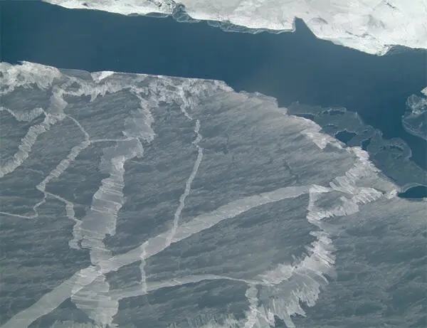 ARCTIC V ANTARCTIC The two polar regions on the planet share much in common - фото 22