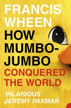 Francis Wheen How Mumbo-Jumbo Conquered the World: A Short History of Modern Delusions обложка книги