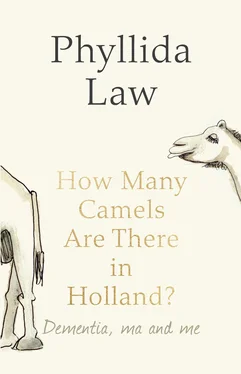 Phyllida Law How Many Camels Are There in Holland?: Dementia, Ma and Me обложка книги