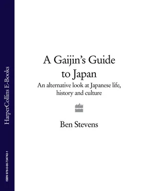 Ben Stevens A Gaijin's Guide to Japan: An alternative look at Japanese life, history and culture обложка книги