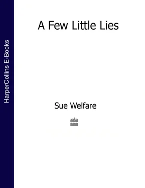 Sue Welfare A Few Little Lies обложка книги