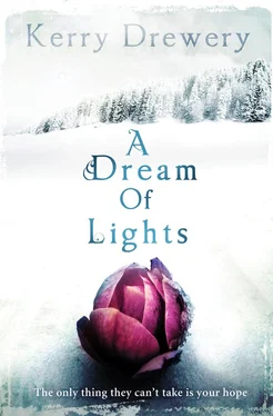 Kerry Drewery A DREAM OF LIGHTS обложка книги