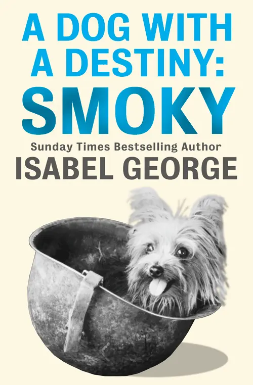 A Dog With a Destiny Smoky A Short Tale from BEYOND THE CALL OF DUTY - фото 1