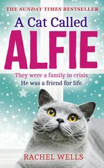 Rachel Wells - A Cat Called Alfie