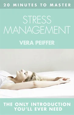 Vera Peiffer 20 MINUTES TO MASTER … STRESS MANAGEMENT обложка книги