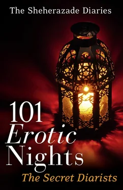 The Diarists 101 Erotic Nights: The Sheherazade Diaries обложка книги