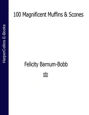 Felicity Barnum-Bobb 100 Magnificent Muffins and Scones обложка книги
