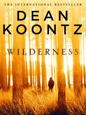 Dean Koontz Wilderness: A short story обложка книги