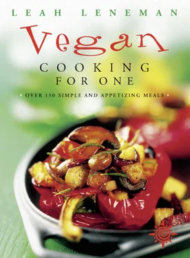 Leah Leneman Vegan Cooking for One: Over 150 simple and appetizing meals обложка книги