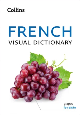 Collins Dictionaries Collins French Visual Dictionary обложка книги