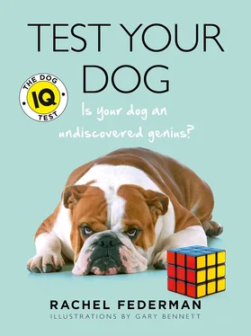 Rachel Federman Test Your Dog: Is Your Dog an Undiscovered Genius? обложка книги