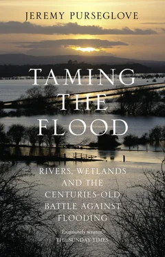 Jeremy Purseglove Taming the Flood: Rivers, Wetlands and the Centuries-Old Battle Against Flooding обложка книги