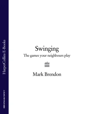 Mark Brendon Swinging: The Games Your Neighbours Play обложка книги