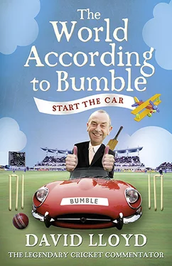 David Lloyd Start the Car: The World According to Bumble обложка книги