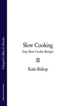 Katie Bishop Slow Cooking: Easy Slow Cooker Recipes обложка книги