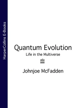 Johnjoe McFadden Quantum Evolution: Life in the Multiverse обложка книги