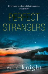 Erin Knight - Perfect Strangers - an unputdownable read full of gripping secrets and twists