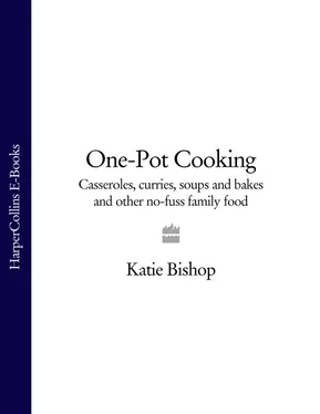 Katie Bishop One-Pot Cooking: Casseroles, curries, soups and bakes and other no-fuss family food обложка книги