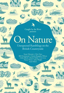 Литагент HarperCollins On Nature: Unexpected Ramblings on the British Countryside обложка книги