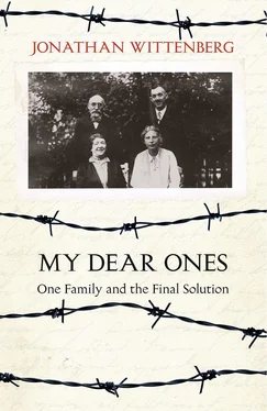Jonathan Wittenberg My Dear Ones: One Family and the Final Solution обложка книги