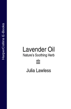 Julia Lawless Lavender Oil: Nature’s Soothing Herb обложка книги