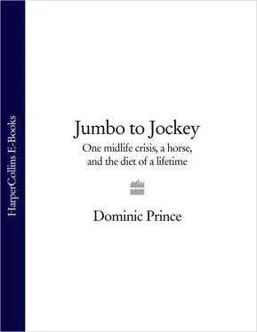 Dominic Prince Jumbo to Jockey: Fasting to the Finishing Post обложка книги