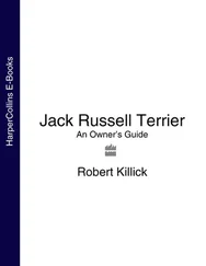 Robert Killick - Jack Russell Terrier - An Owner’s Guide