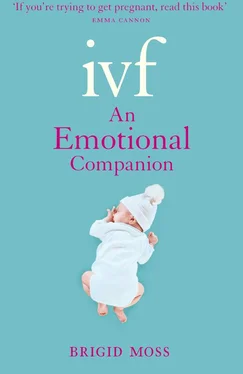 Brigid Moss IVF: An Emotional Companion обложка книги