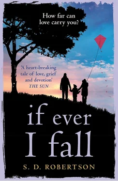 S.D. Robertson If Ever I Fall: A gripping, emotional story with a heart-breaking twist обложка книги