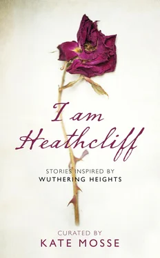 Kate Mosse I Am Heathcliff: Stories Inspired by Wuthering Heights обложка книги