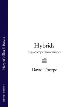 David Thorpe Hybrids: Saga Competition Winner обложка книги