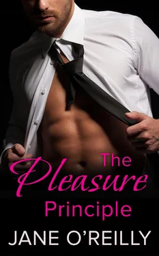 Jane O'Reilly The Pleasure Principle: A steamy standalone romance обложка книги