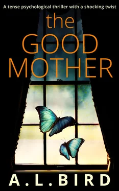 A. Bird The Good Mother: A tense psychological thriller with a shocking twist обложка книги