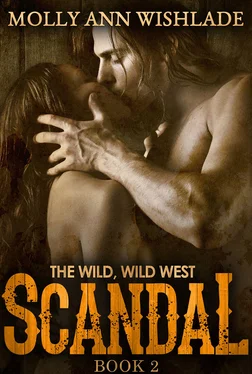 Molly Wishlade Scandal: A tempting Western romance обложка книги